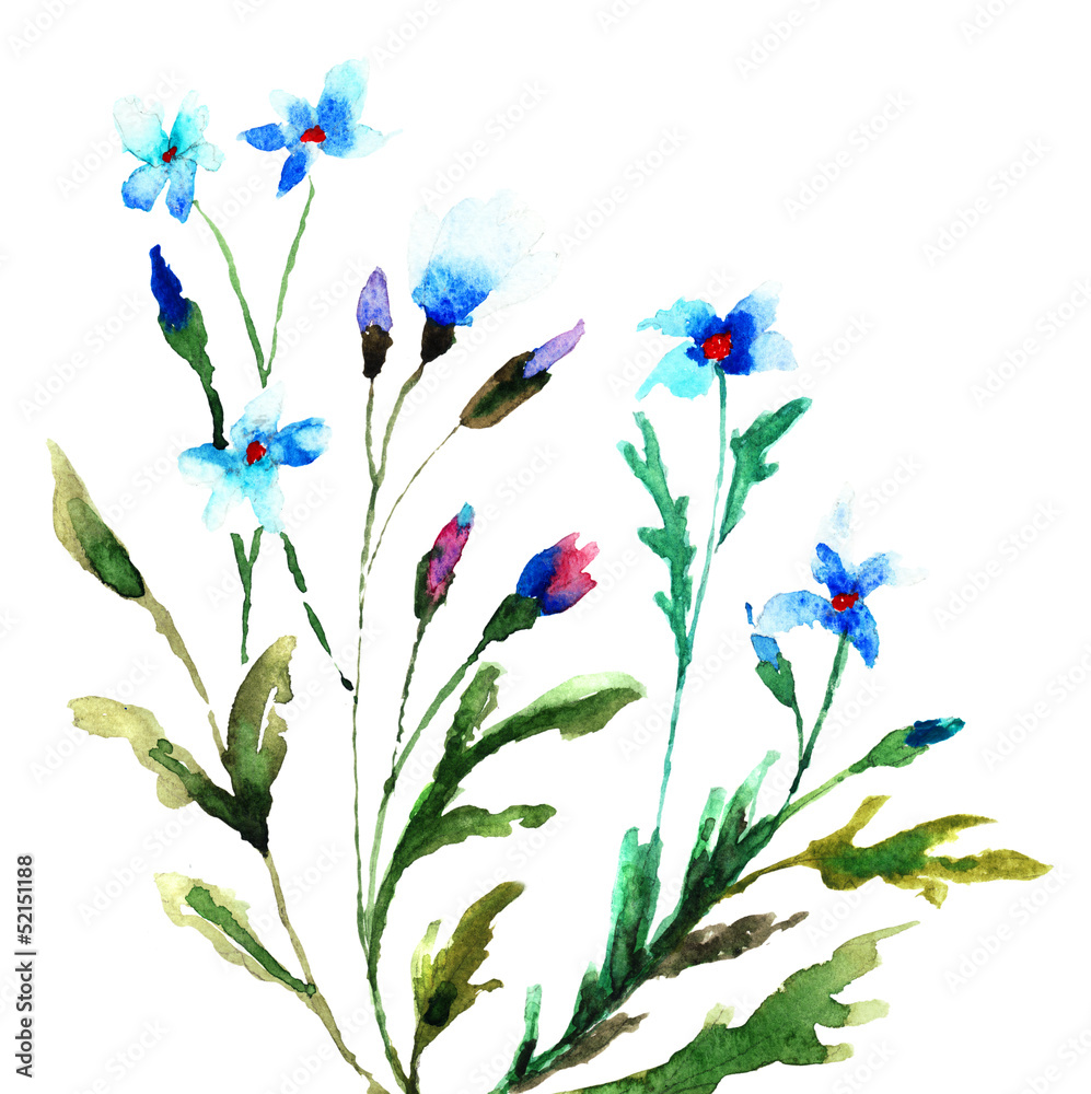 Naklejka Piękny niebieski kwiat