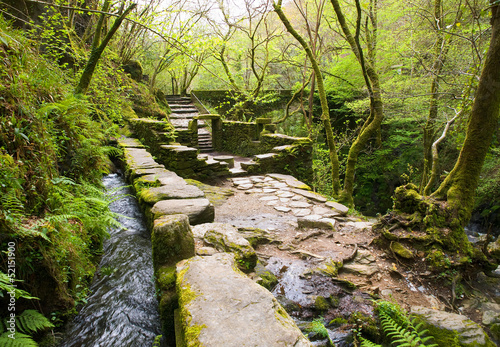 Ruins in the middle of the forest