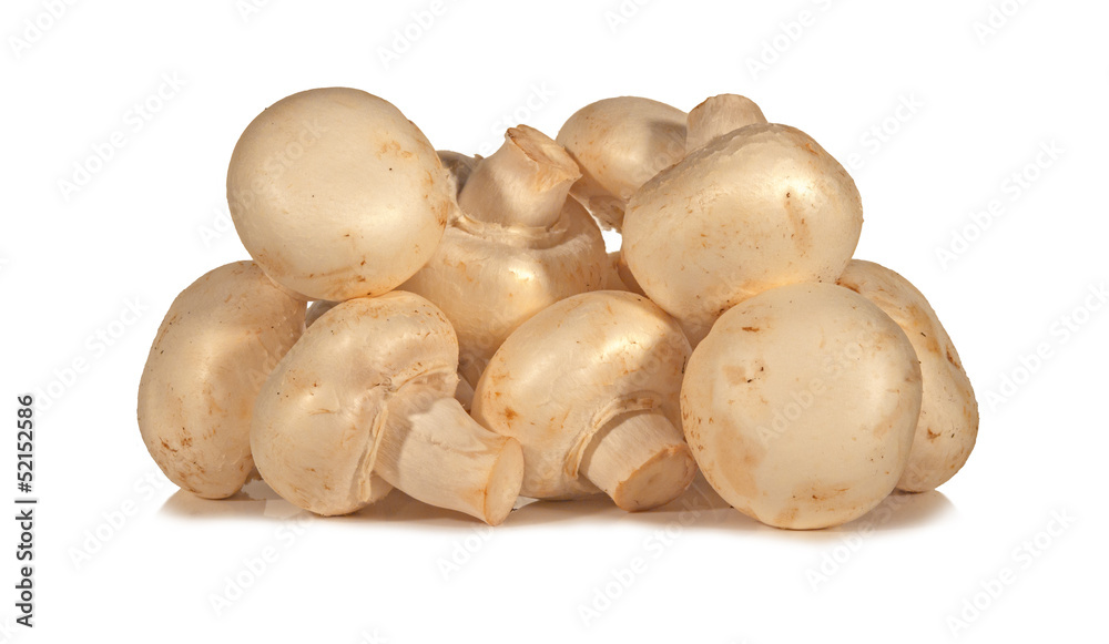 Champignons Champignons