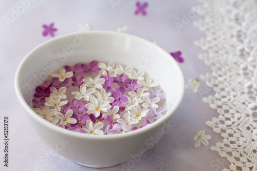 Bowl of water and lilac flowers