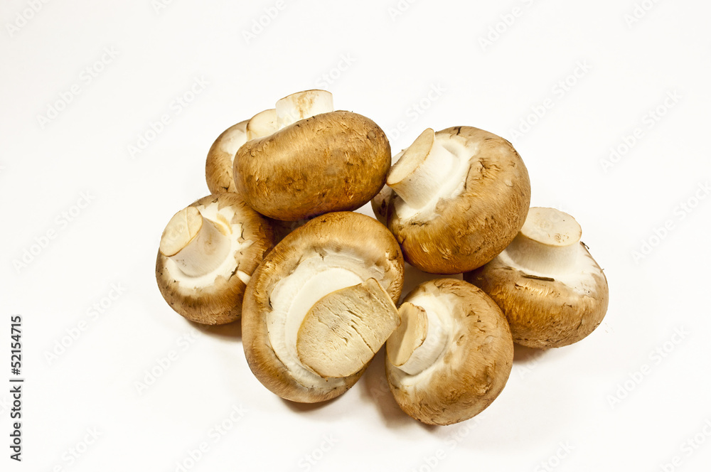 Pilze Pilze