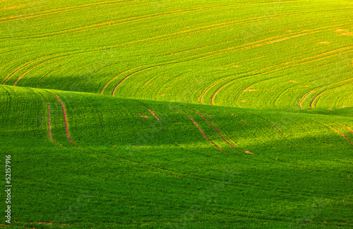 soft lines of fields and meadows in rural area with marks of tra © travelview