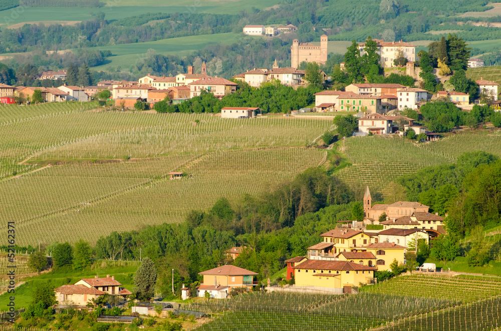 Le Langhe, Piedmont, panorama with Castle of Serralunga d'Alba