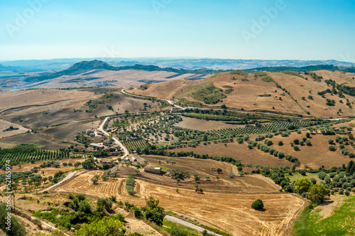 Sicily Fields