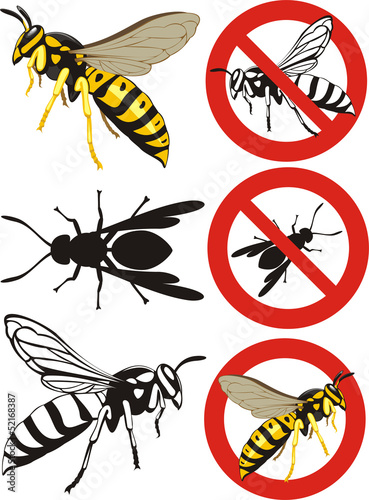 wasp - warning signs