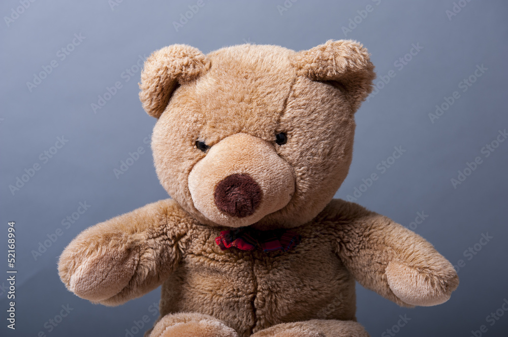 Teddy bear Teddy bear