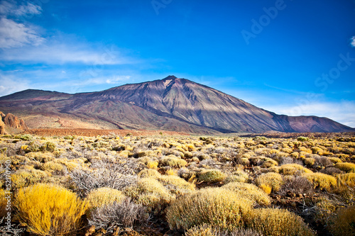 фотографія Volcanic lava landscape on Teide, Tenerife,  Spain.