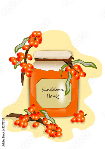 Sanddorn Honig Illustration