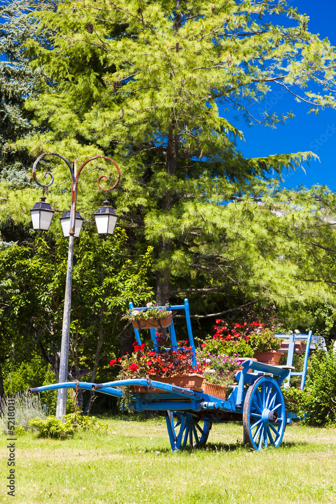 cart with flowers, Saint-Julien-en-Beauchen, Provence, France
