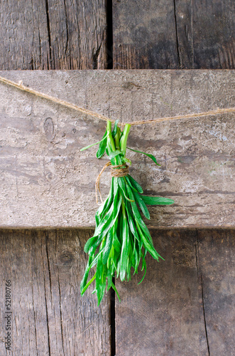 A bunch of fresh tarragon on the wooden background photo