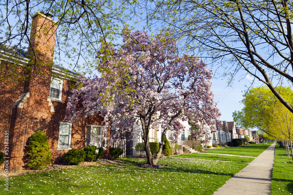 Naklejka premium Spring in suburbs