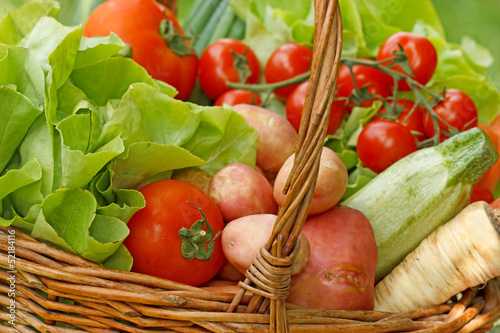 Full basket of fresh organic vegetables