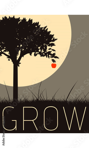 Vector Minimal Design - Grow