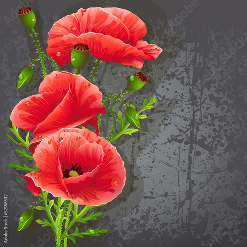 Fototapeta Naklejka Na Ścianę i Meble -  Background for your text with red poppies.