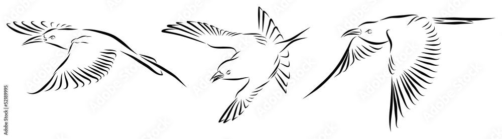Flying Birds Flying Birds