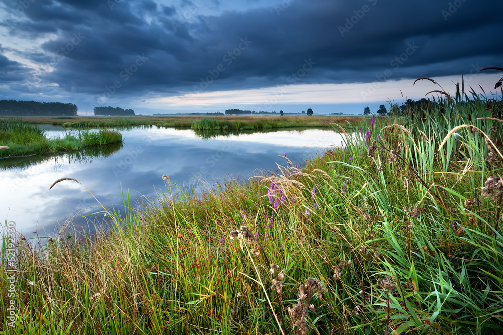 Fototapeta premium wildflowers by lake at sunrise