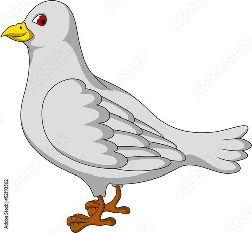 white dove cartoon