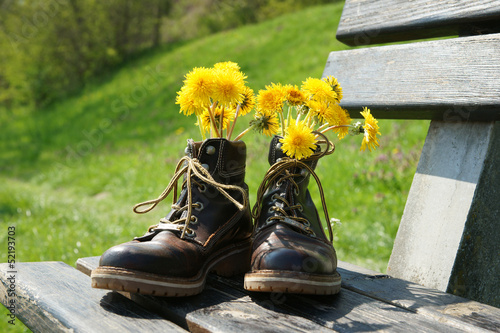 Wanderstiefel mit Blumen photo