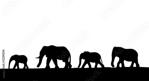 Elephants in Silhouette