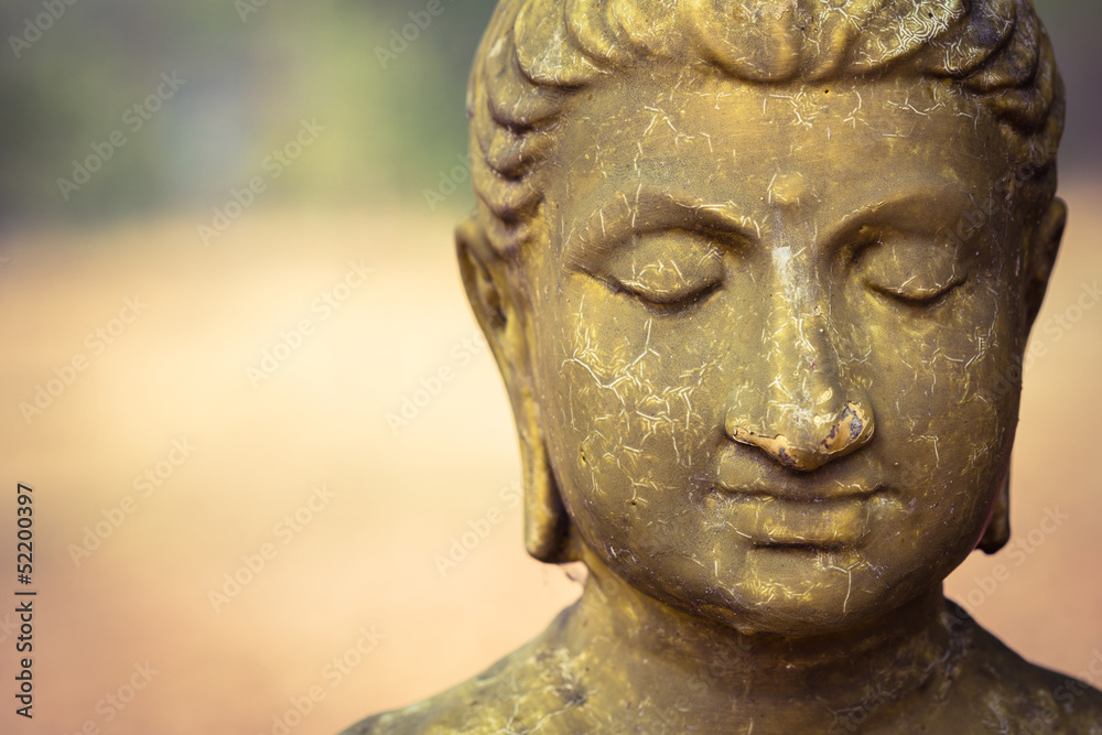 Decline of Buddhism