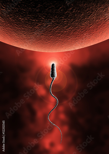 sperm and egg cell - Natural insemination -