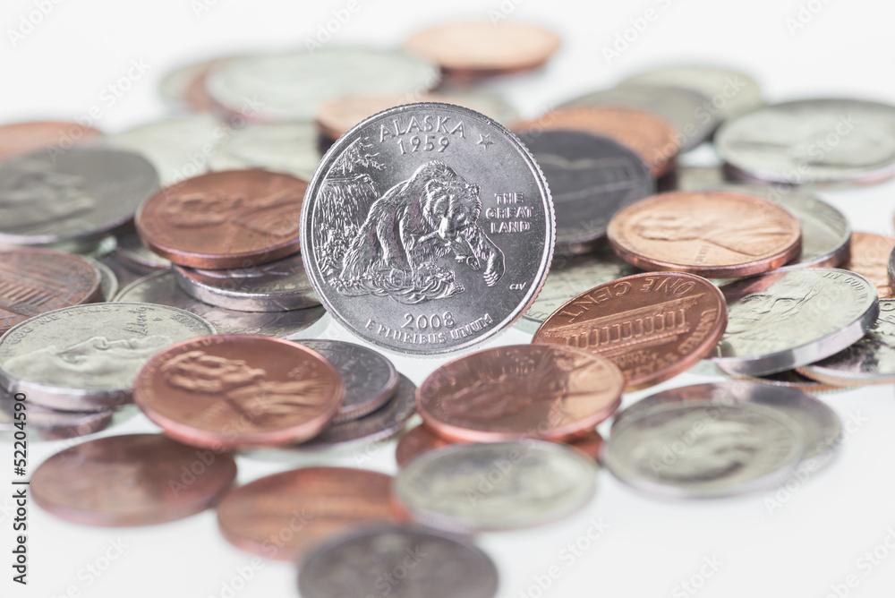 Alaska State Quarter reverse coin extreme close up Alaska State Quarter reverse coin extreme close up
