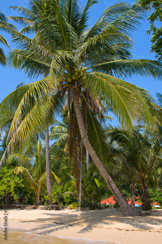 Beautiful beach and tropical sea  Thailand.