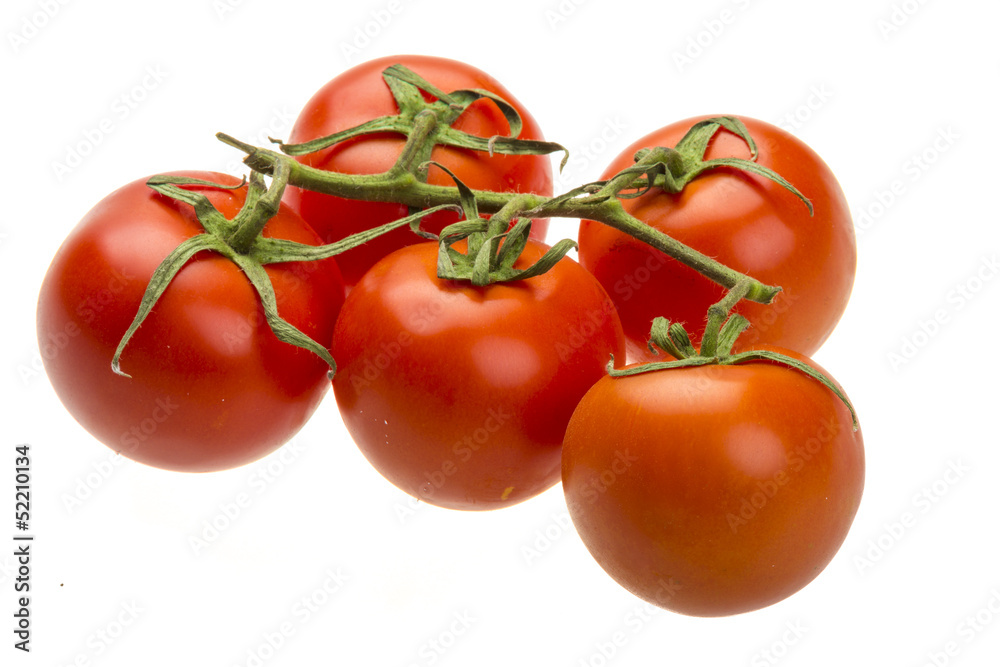 Red ripe tomatoes on the branch