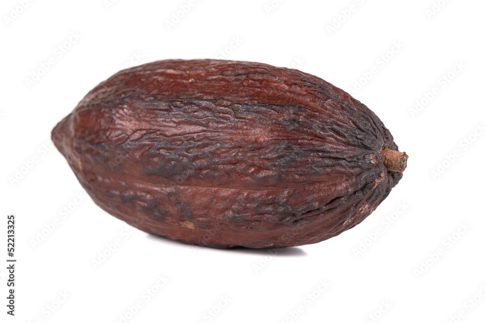 cocoa fruit isolated on white background cocoa fruit isolated on white background