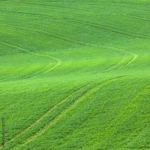 marks in the green field © travelview