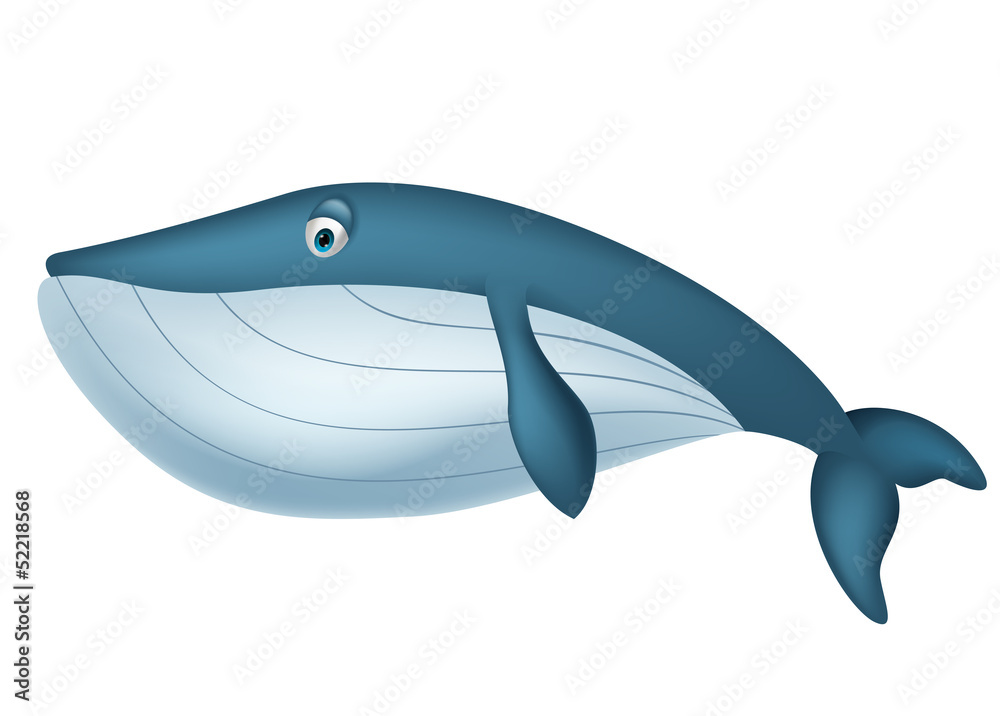 Fototapeta premium Cute whale cartoon