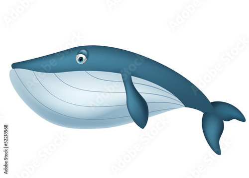 Cute whale cartoon