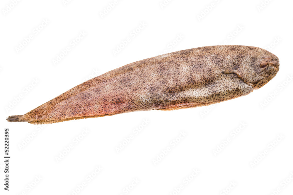 Fish Dover sole Fish Dover sole
