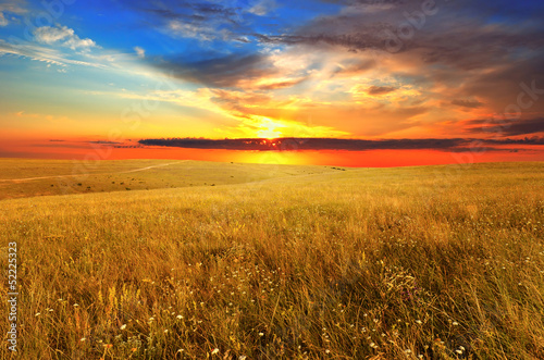Sunset over the wild field © Artur