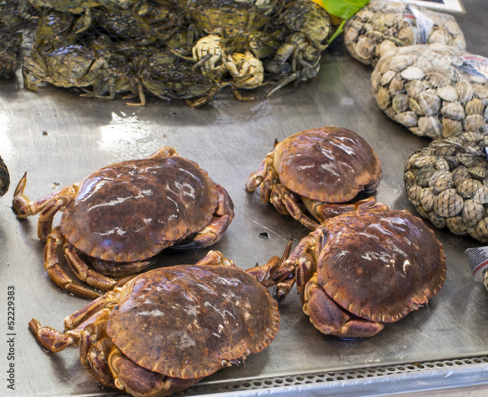 italian crab italian crab