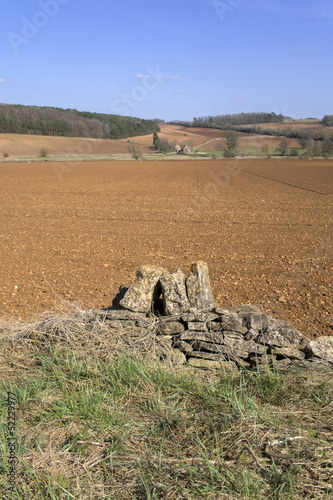 field photo