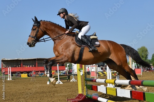horse jumping photo