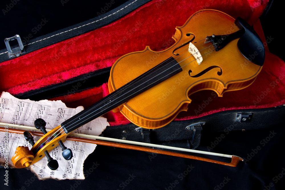 Fototapeta premium Violin in carry case
