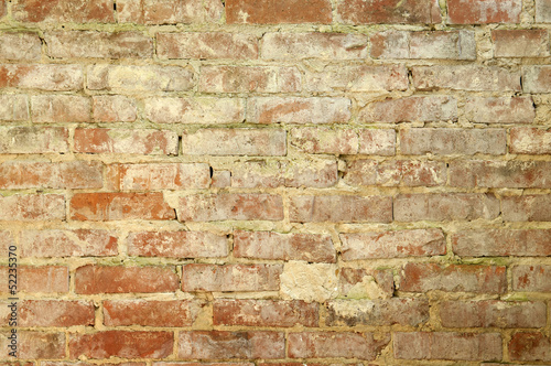 Fototapeta Stary mur
