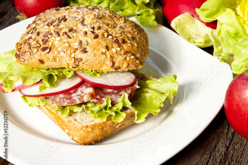 Sandwich with salami and vegetables