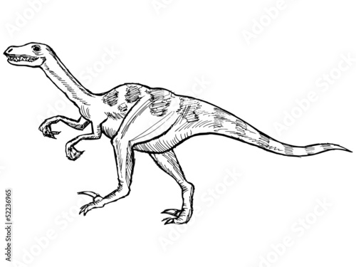 velociraptor