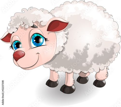 sheep