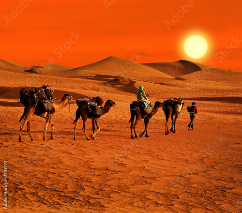 The Berbesky tribe passes the desert in Africa #52239777