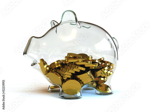 Half Full Piggy Bank