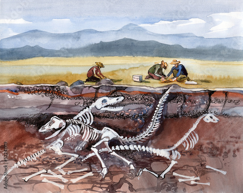 archaeology