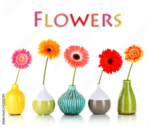 Fototapeta Naklejka Na Ścianę i Meble -  Beautiful Gerber flowers isolated on white