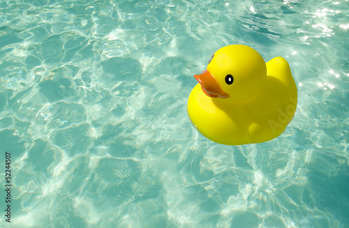Duck-toy in a pool