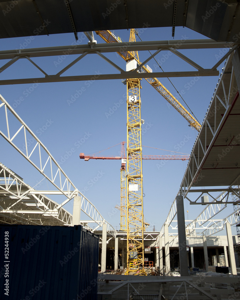 Crane on the construction site