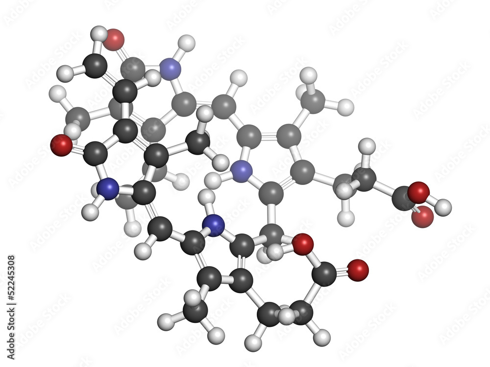 Bilirubin heme breakdown product, molecular model Bilirubin heme breakdown product, molecular model