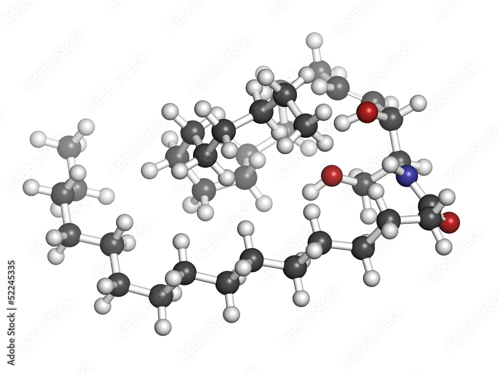 Ceramide cell membrane lipid, molecular model